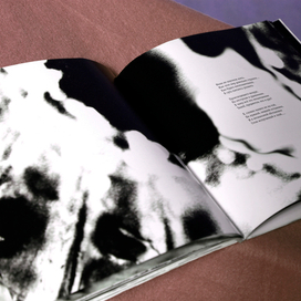 Книга. Сборник стихов. Автор Сольский А.Д._5