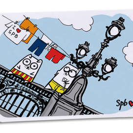 Коты в питере