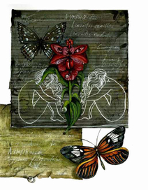 Гербарий чувств. Близнецы.