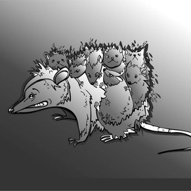 СпиноГрЫзЫ