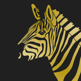 Зебра голд
