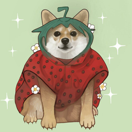 Акита в костюме клубнички