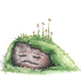 сонный камень