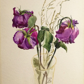 Засохшие цветы, как дар приятной встречи, как хрупкий образ прожитой мечты....