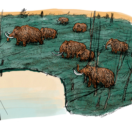 Охотники на мамонтов