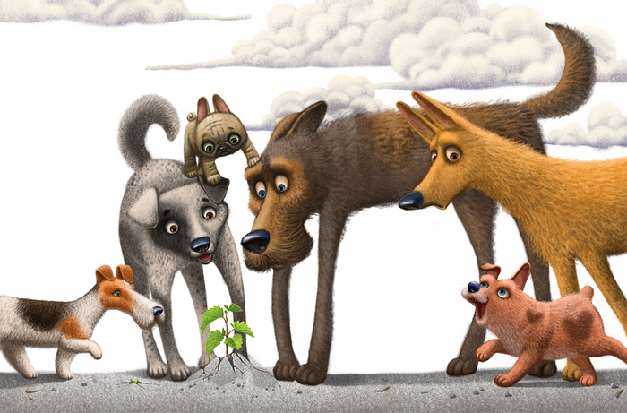 ты еще не видел чуда?...