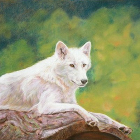 Хозяин леса