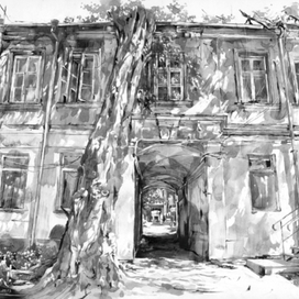 Солнечные зайчики