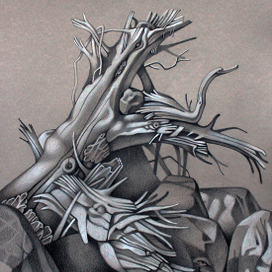 Аршанская  коряжка