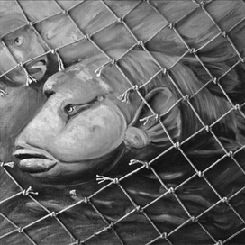 Созвездие рыб