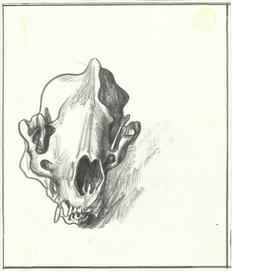 без названия