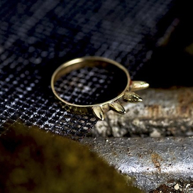 Шипастый хвост дракона