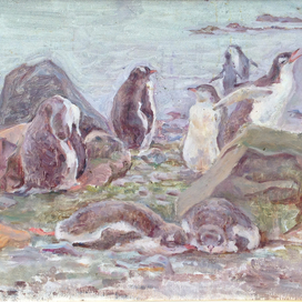 Ослиные пингвины