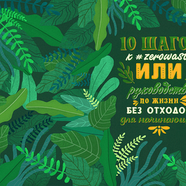 Руководство по жизни без отходов для начинающих