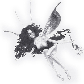 (без названия)