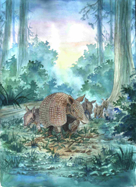 Иллюстрации к сборникам детских рассказов Джерри Томаса