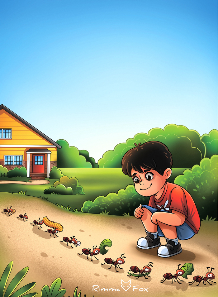 Наблюдение