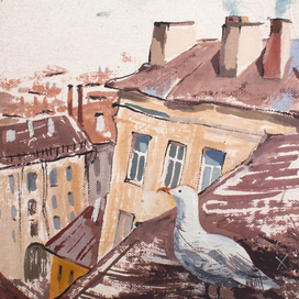 Жители крыш. Петербург