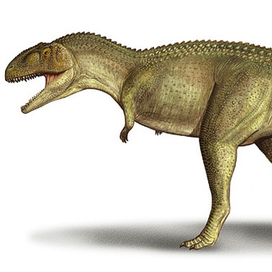 Tarascosaurus