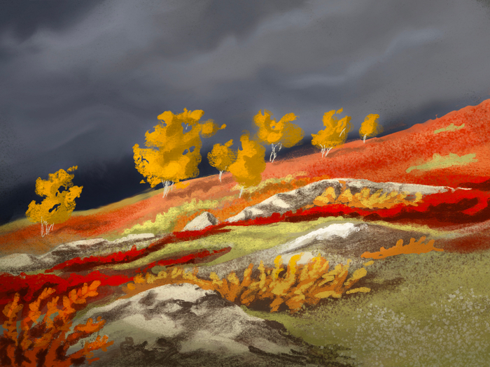 Краски тундры 