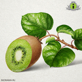 Киви.