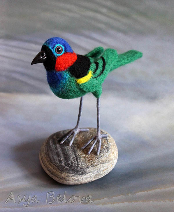 Синешапочная танагра