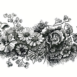 Заставка для книги