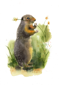 Заповедник "Брянский Лес"