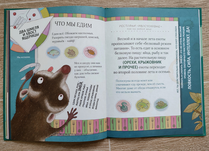 Чем хороши еноты