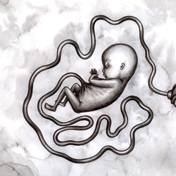 Одушевление