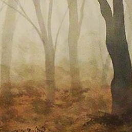 Осенние тени