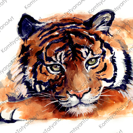 Грустный тигр :)