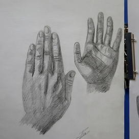 Руки (с натуры)