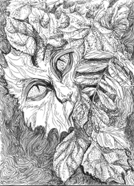 Сентяборский кот