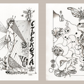 "Стрекоза" и "Лягушка"