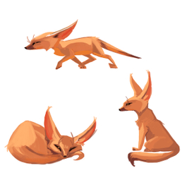 Fenek sketches