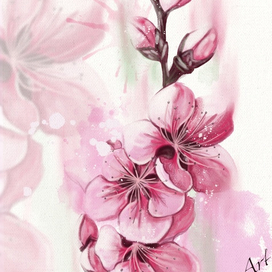 Утренняя радость