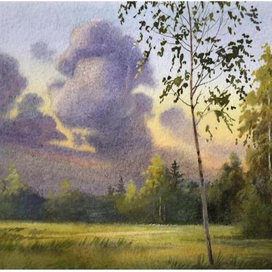 Июньский лес