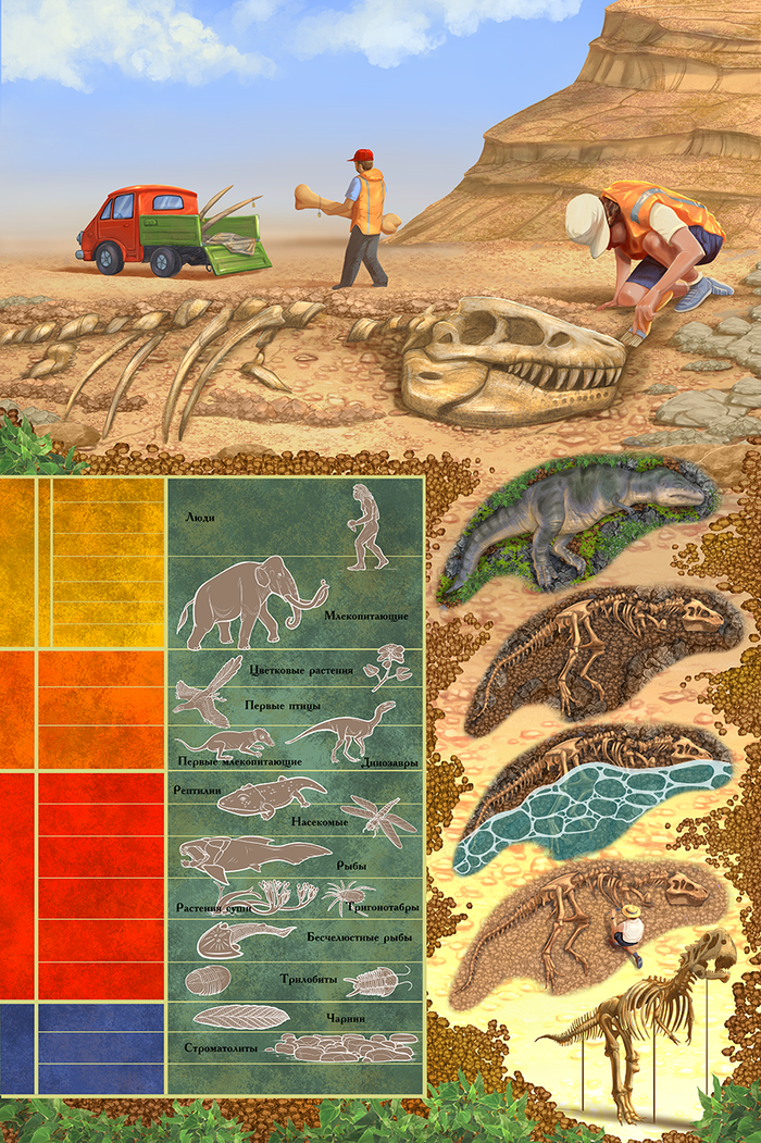 Что такое палеонтология