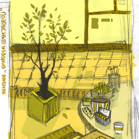 подписные издания