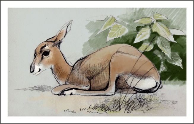 ещё один нестрашный зверь из зоопарка