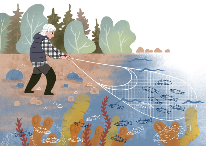 Ихтиолог ловит рыбу-колюшку