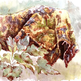 ковер на даче