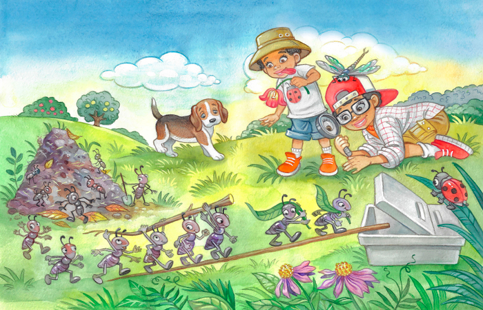 иллюстрация для книги 