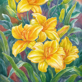 Золотой лилейник.