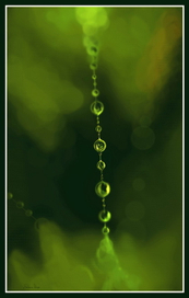 Нежность....