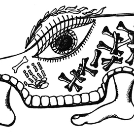 машинка с лапками