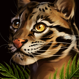 Вопрос о животных