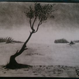 сухая кисть