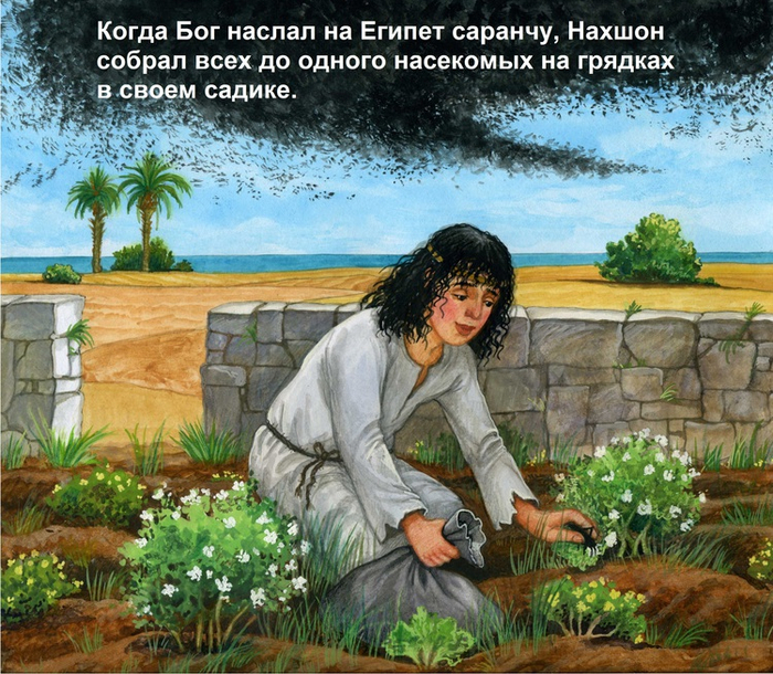 "Нахшон, который боялся плавать".